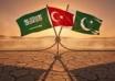 پیمان مکه و برنامۀ مارگیری- حسن بهگر